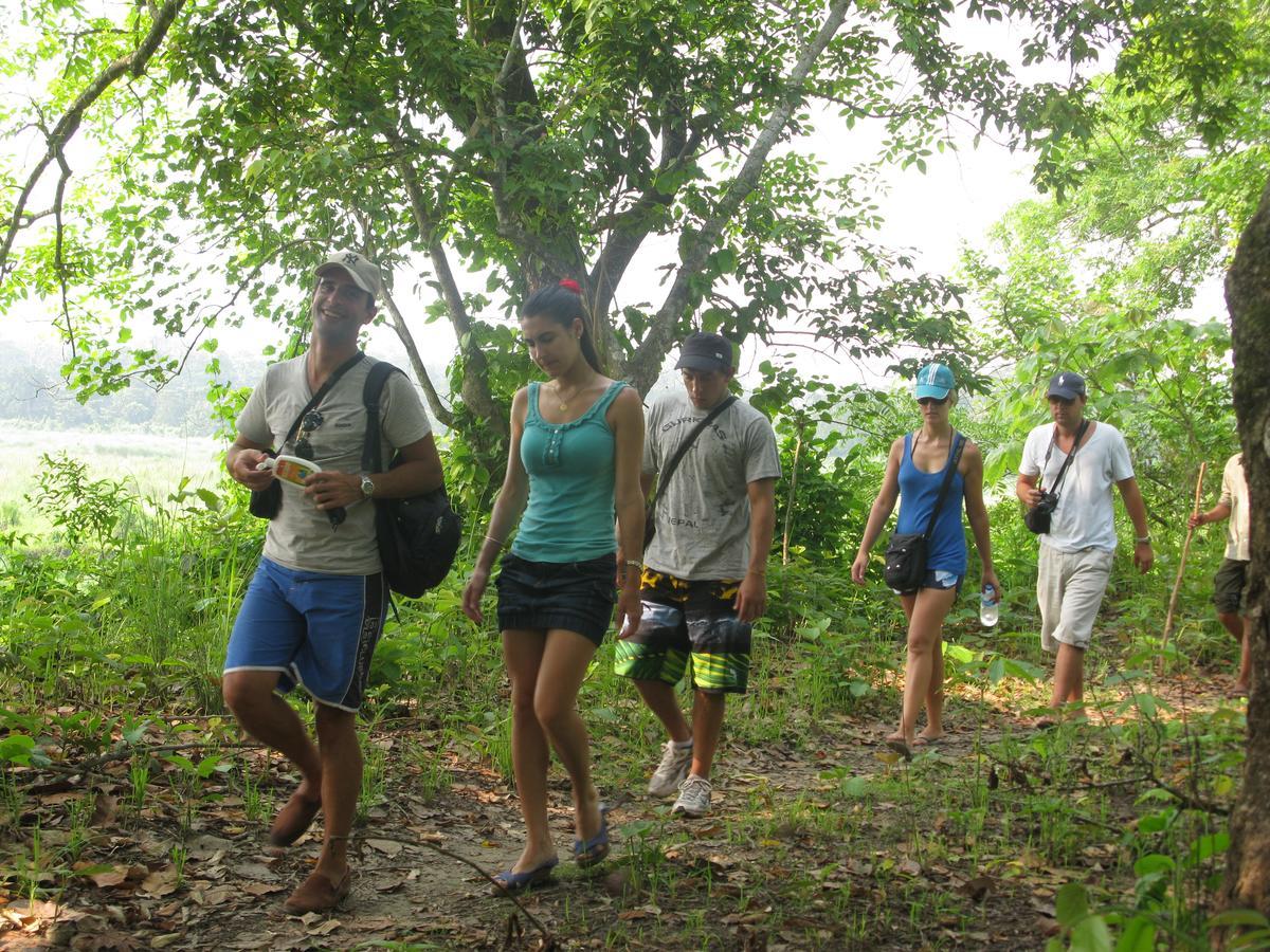 Rhino Land Jungle Lodge Sauraha Exterior photo