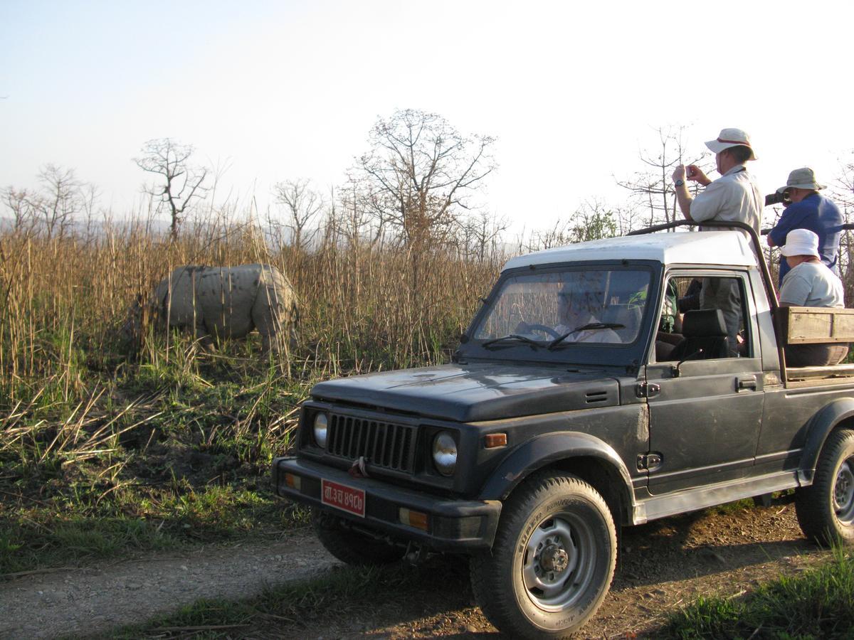 Rhino Land Jungle Lodge Sauraha Exterior photo