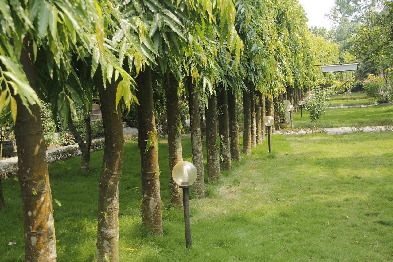 Rhino Land Jungle Lodge Sauraha Exterior photo