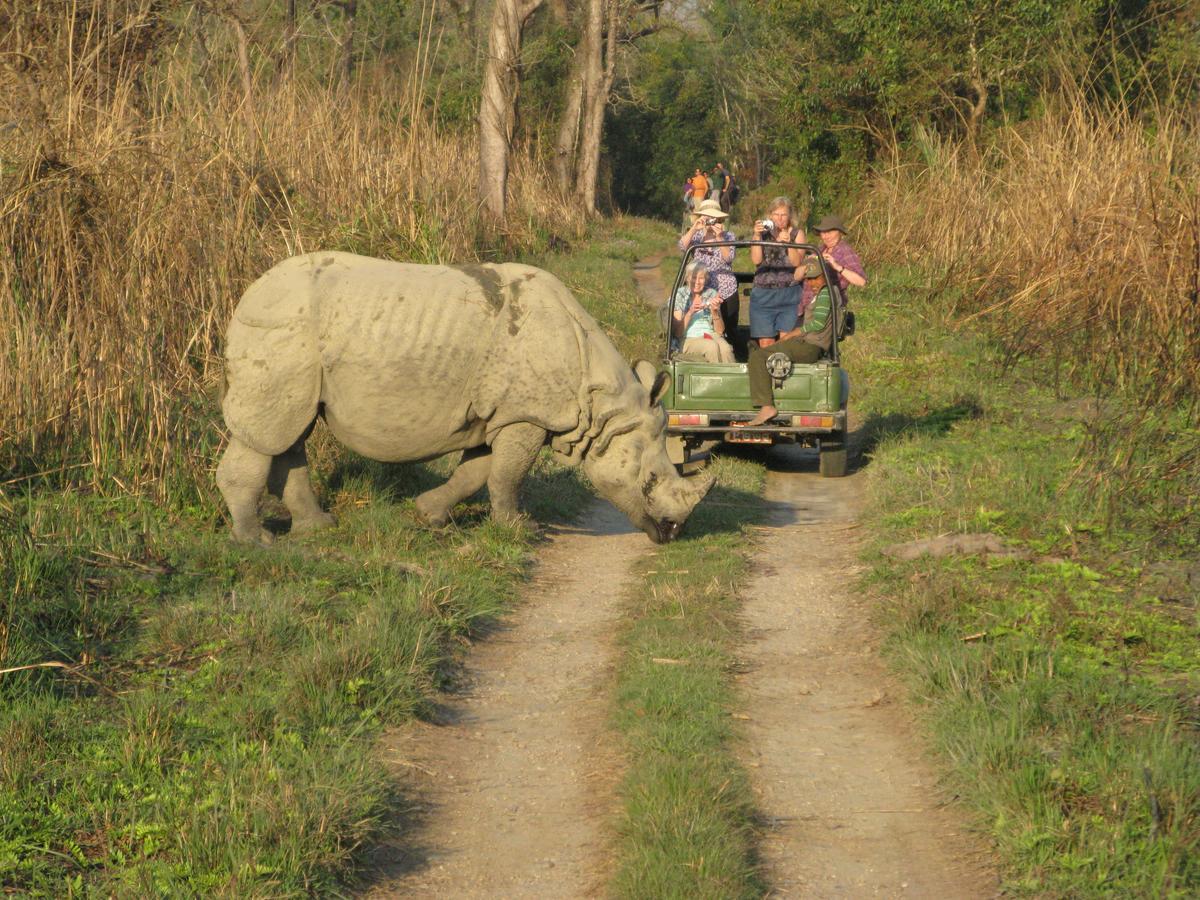 Rhino Land Jungle Lodge Sauraha Exterior photo
