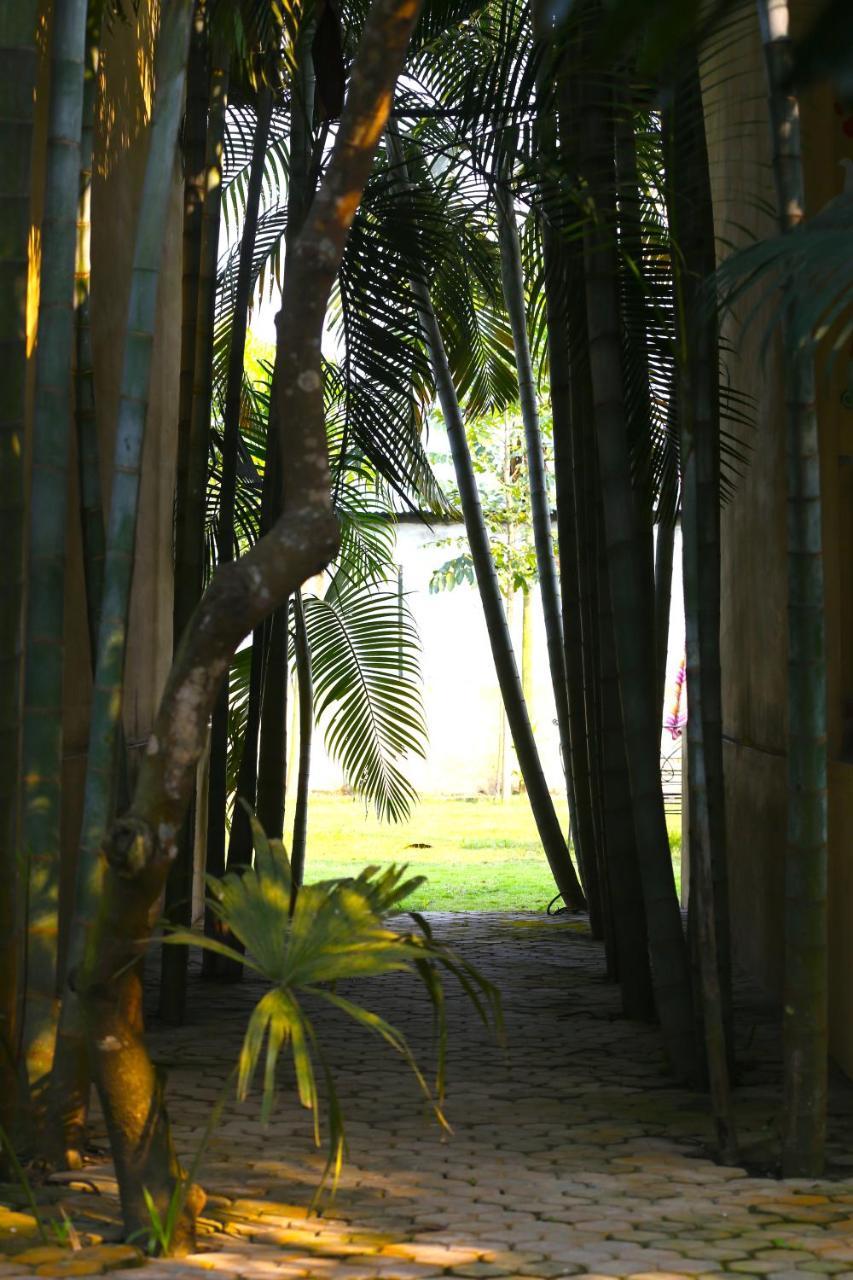 Rhino Land Jungle Lodge Sauraha Exterior photo